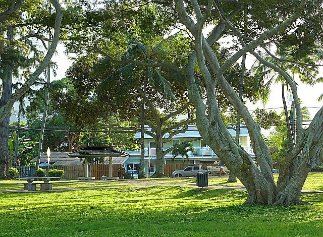 Kailuabeachpark