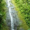 Manoa Falls　マノアの滝